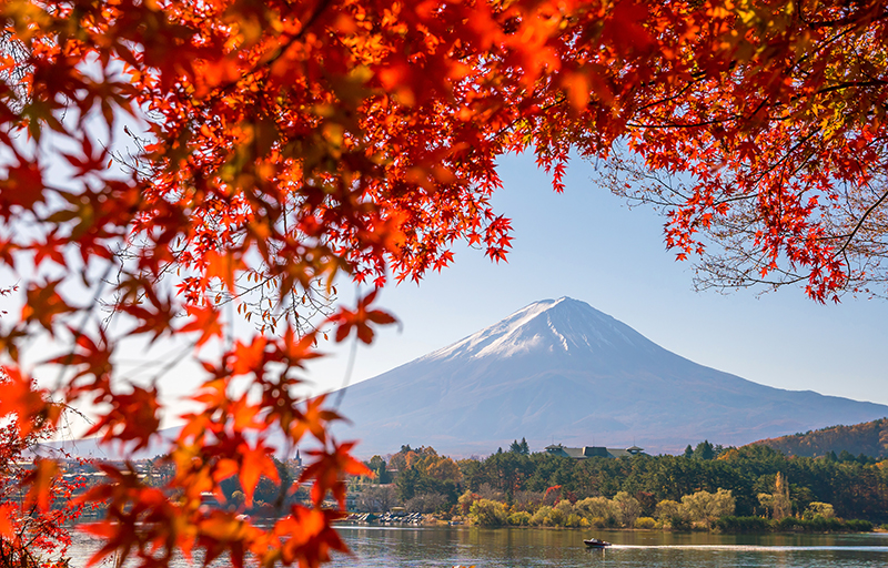 楓葉紅了：秋天的日本旅行指南